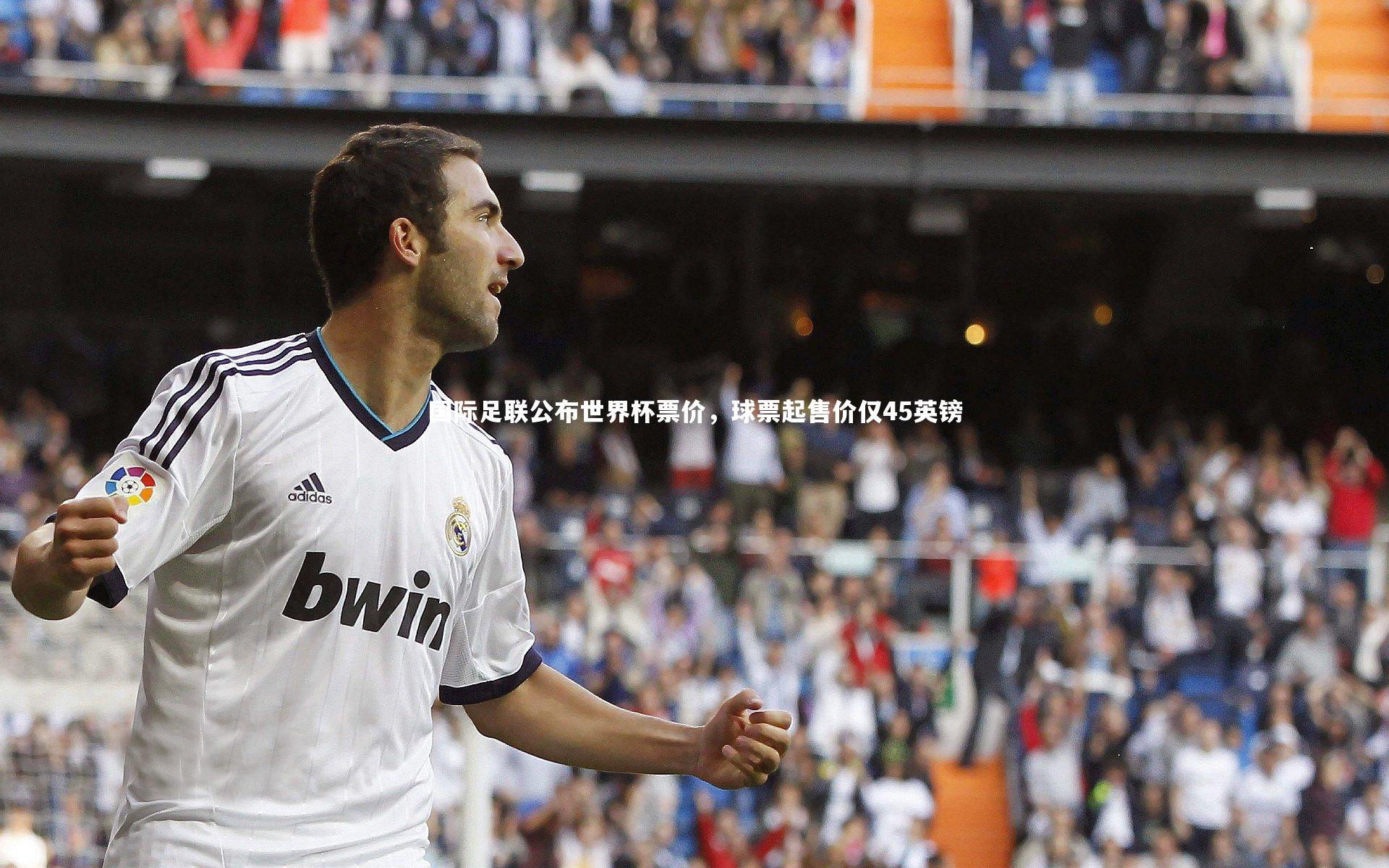 国际足联公布世界杯票价，球票起售价仅45英镑