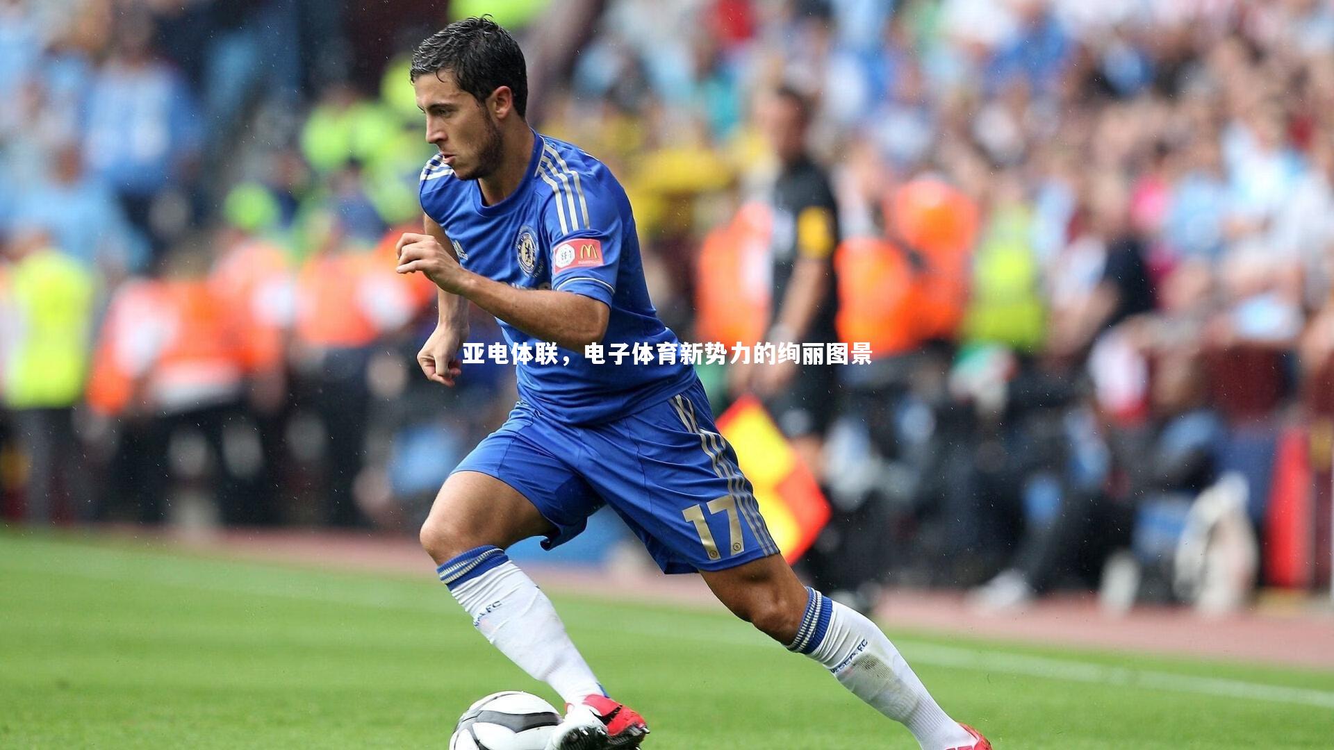 爱游戏官网：亚电体联，电子体育新势力的绚丽图景