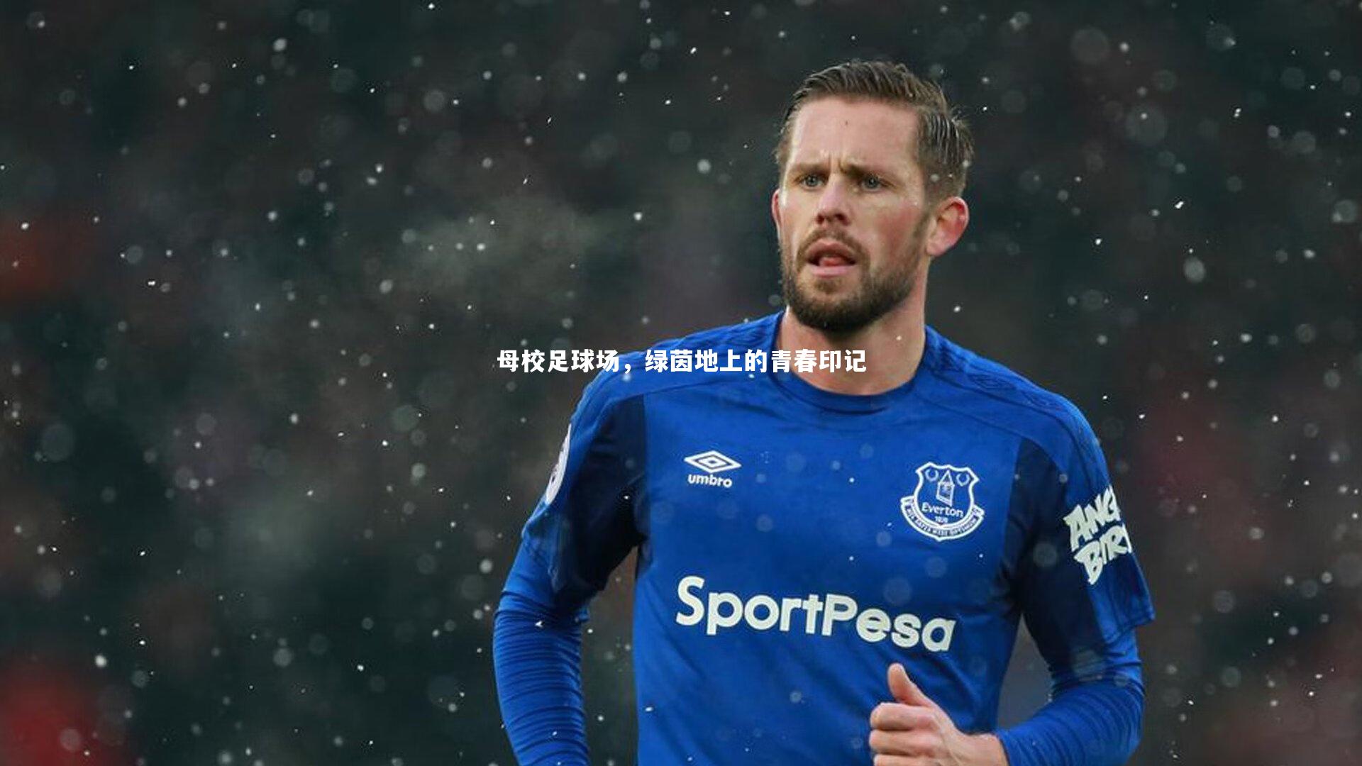 爱游戏体育_母校足球场，绿茵地上的青春印记